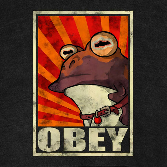 Obey Vintage Distressed Hoodie