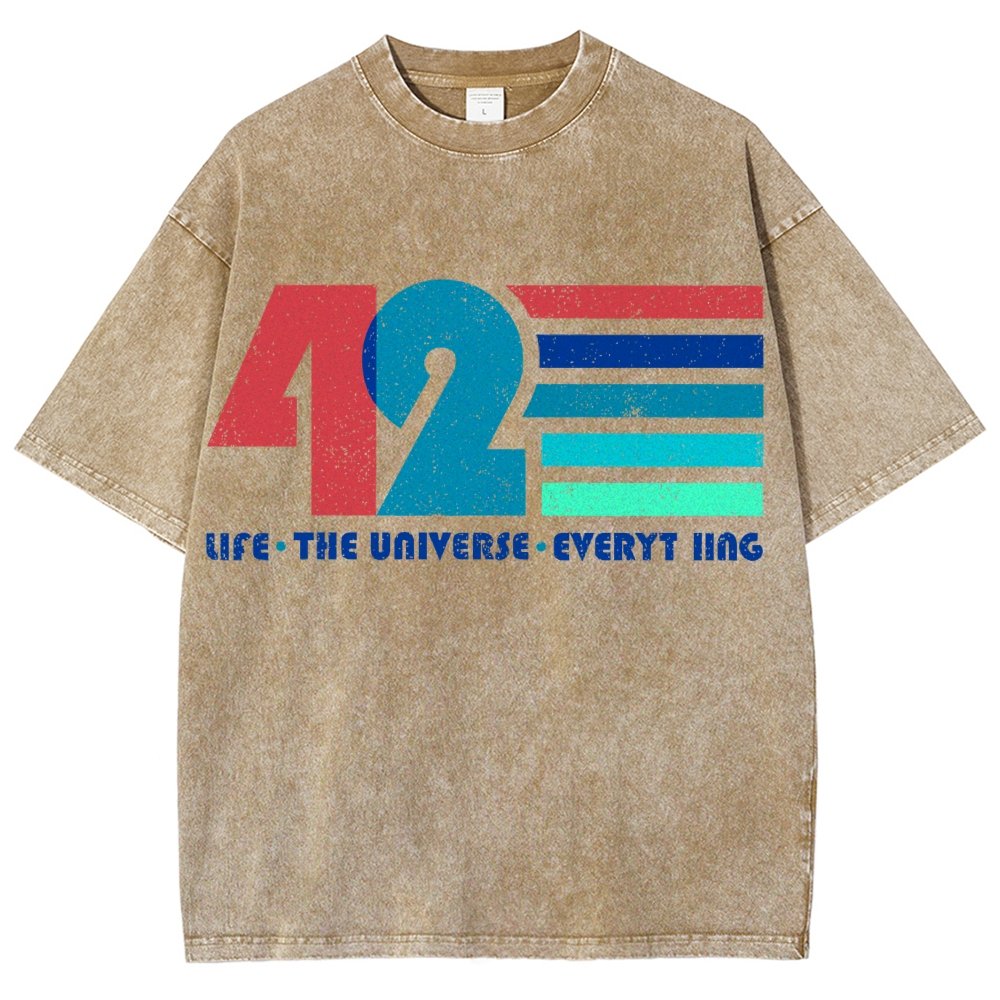 The Answer Is 42 Vintage Distressed T-shirt