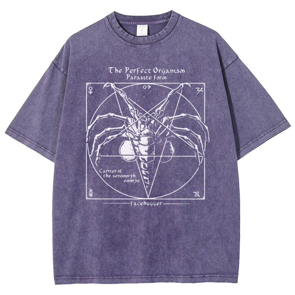 Mystery Pentagram Vintage Distressed T-shirt