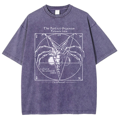 Mystery Pentagram Vintage Distressed T-shirt