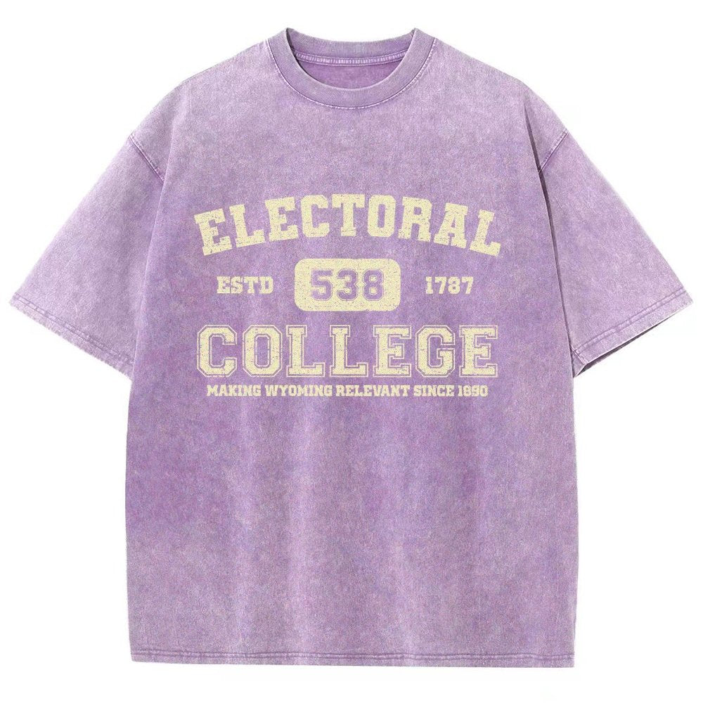 The Electoral College Vintage Distressed T-shirt