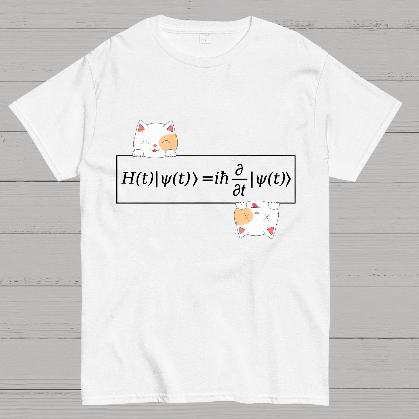 Schrödinger equation Geeky T-Shirt