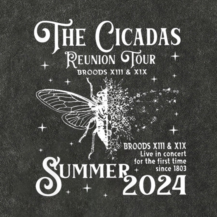 The Cicadas Reunion Tour Summer 2024 Vintage Distressed T-shirt