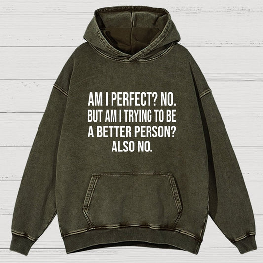 Am I Perfect No But Am I Trying To Be A Better Person Also No Vintage Distressed Hoodie