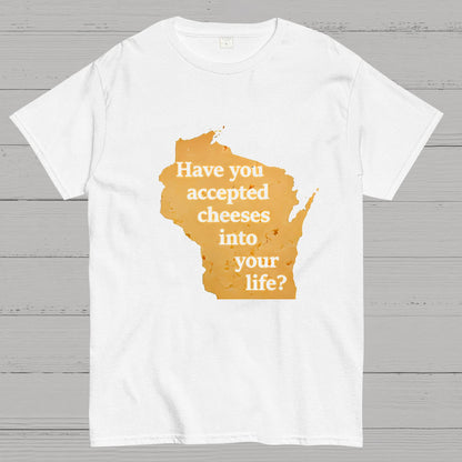 Wisconsin Cheese Pun Geeky T-Shirt