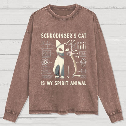 Schrodinger's Сat Science Washed Long Sleeve Tee