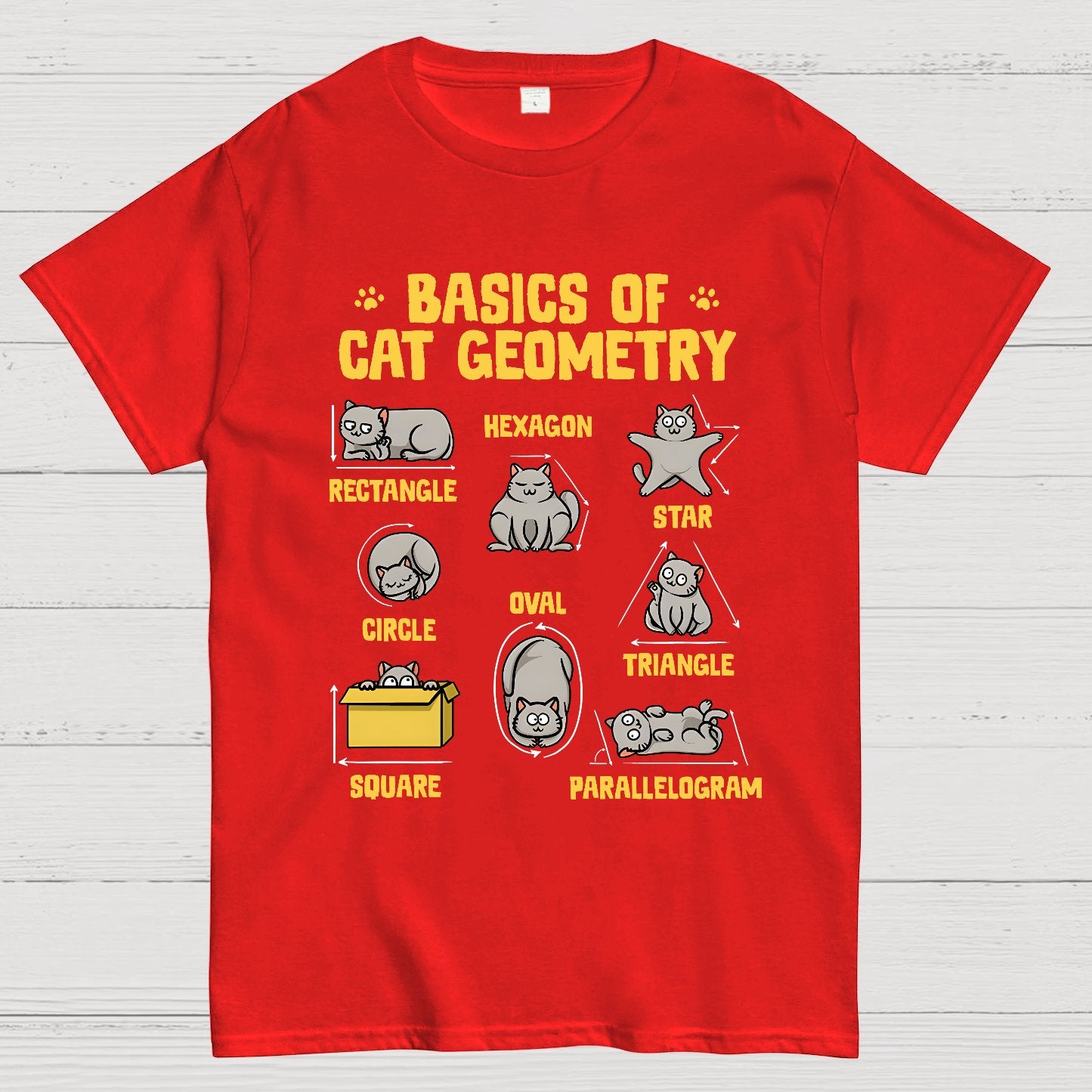 Basics of Cat Geometry Geek T-Shirt