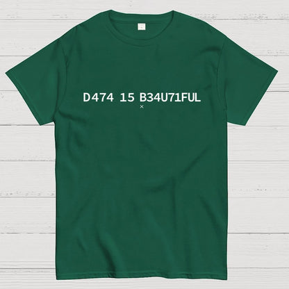 Data Is Beautiful Geek T-Shirt