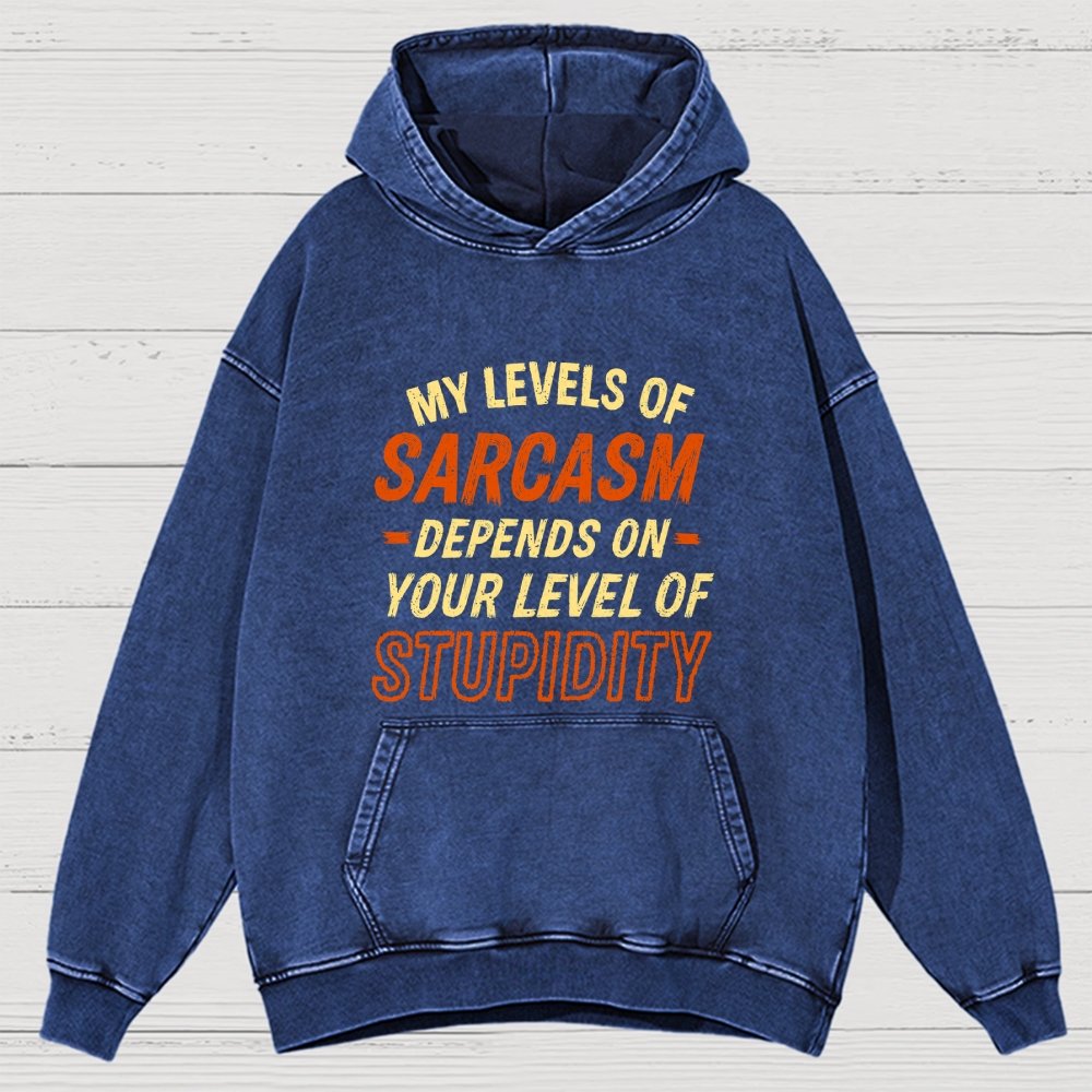 My Level Of Sarcasm Depends Vintage Distressed Hoodie