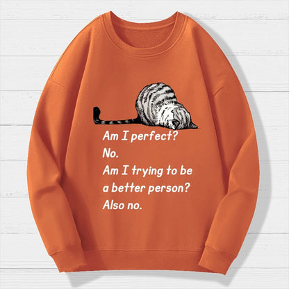 Am I Perfect No Geek Cotton Sweatshirt