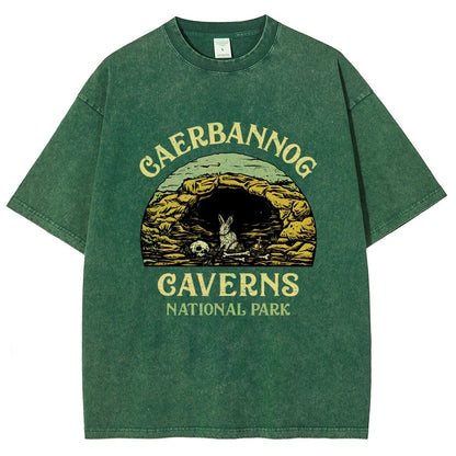 Mystic Caverns National Park Vintage Distressed T-shirt