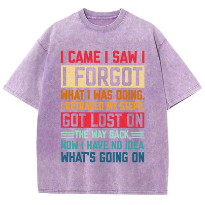 I Came I Saw I Forgot What I Was Doing Sarcastic Vintage Distressed T-shirt