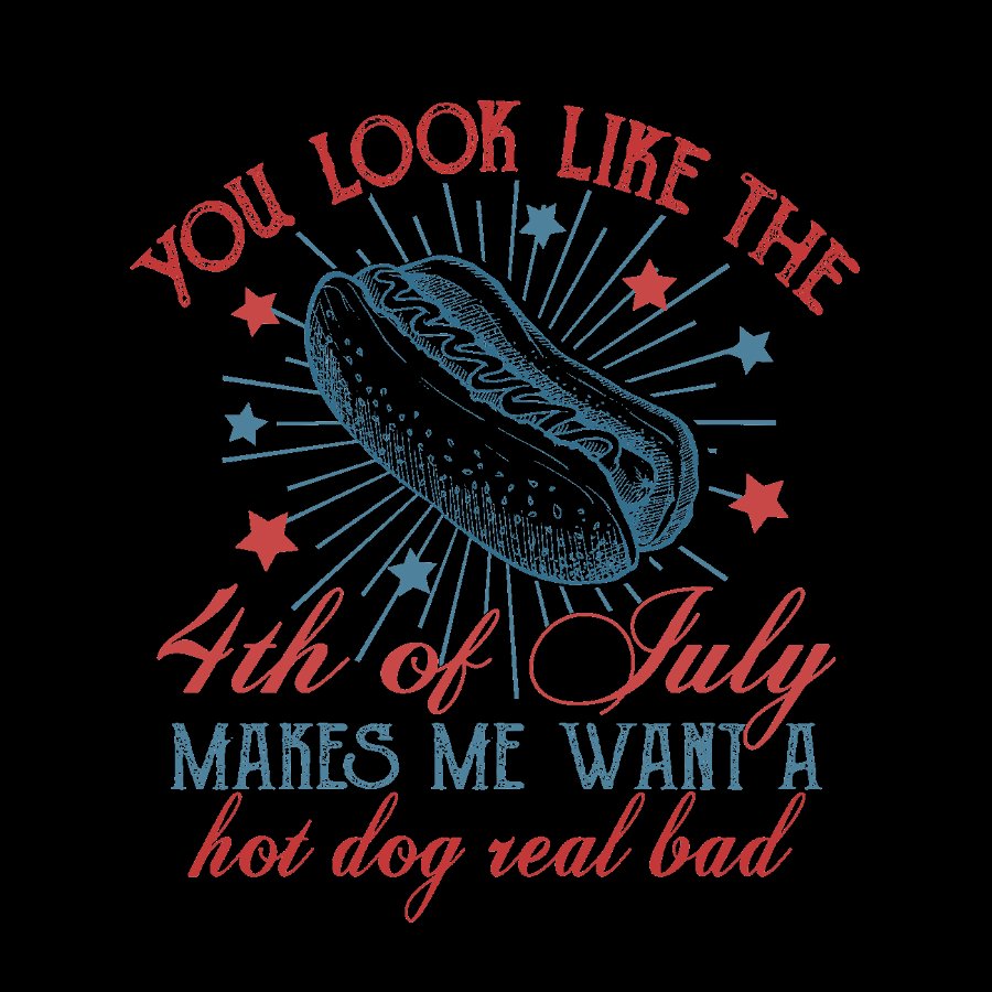 You Look Like the 4th of July Geeky T-Shirt