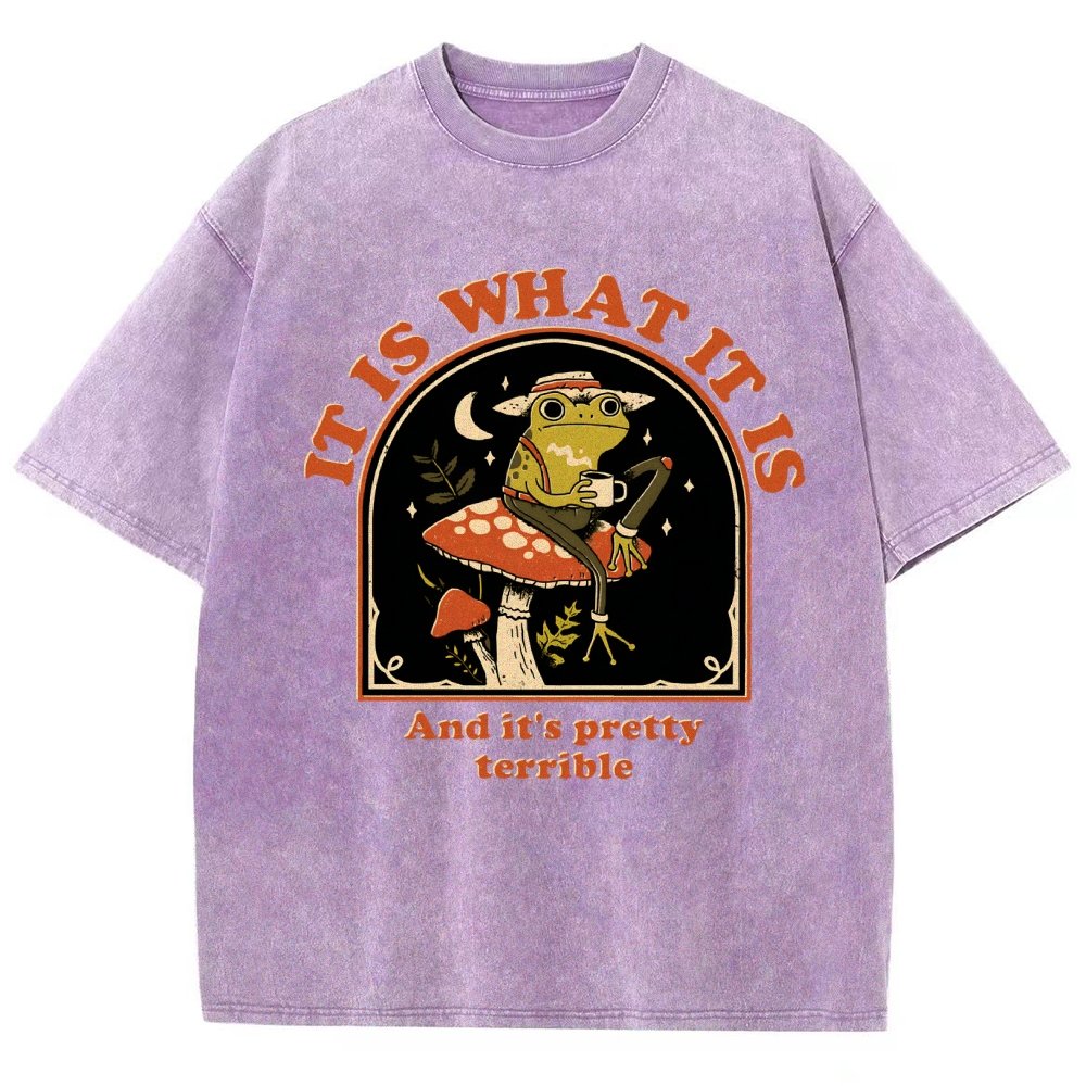 It Is What It Is And It's Pretty Terrible Vintage Distressed T-shirt