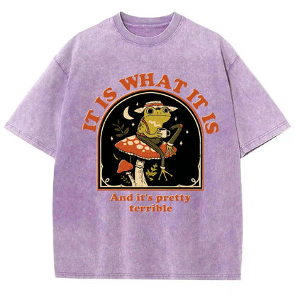 It Is What It Is And It's Pretty Terrible Vintage Distressed T-shirt
