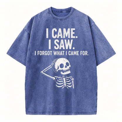 I Came. I Saw. I Forgot What I Came For. Funny Dark Humor T-Shirt