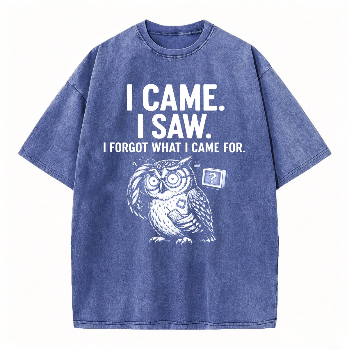 I Came. I Saw. I Forgot What I Came For. Funny Owl Vintage T-Shirt