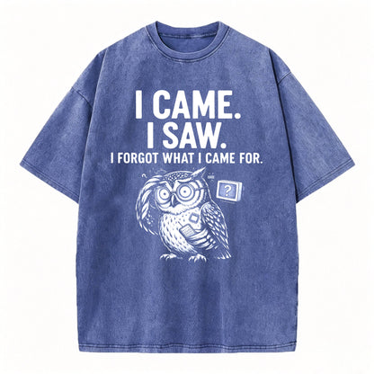 I Came. I Saw. I Forgot What I Came For. Funny Owl Vintage T-Shirt