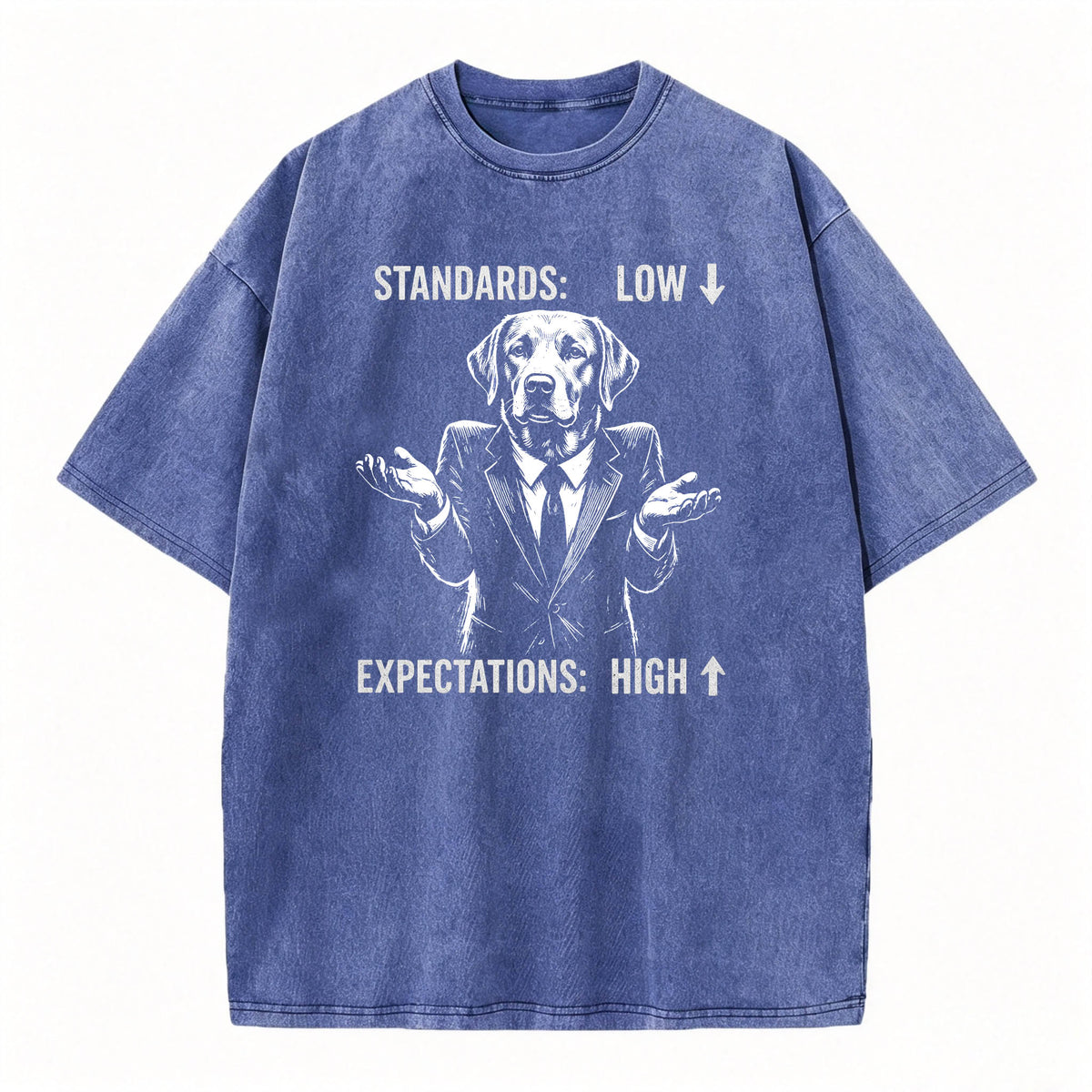 Standards Low Expectations High Funny Sarcastic T-Shirt