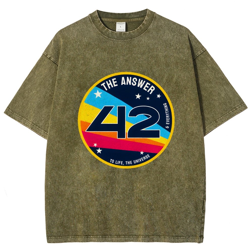 The Answer is 42 Vintage Distressed T-shirt