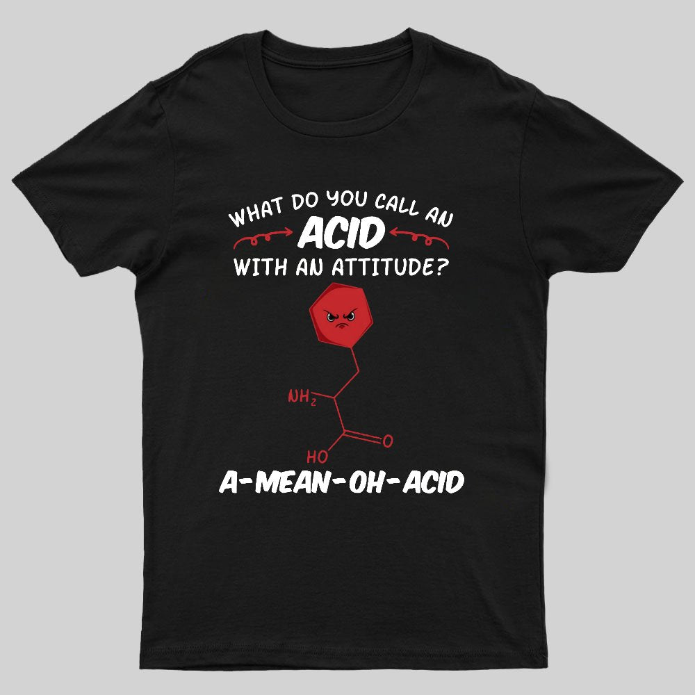 What Do You Call An ACID Geeky T-Shirt