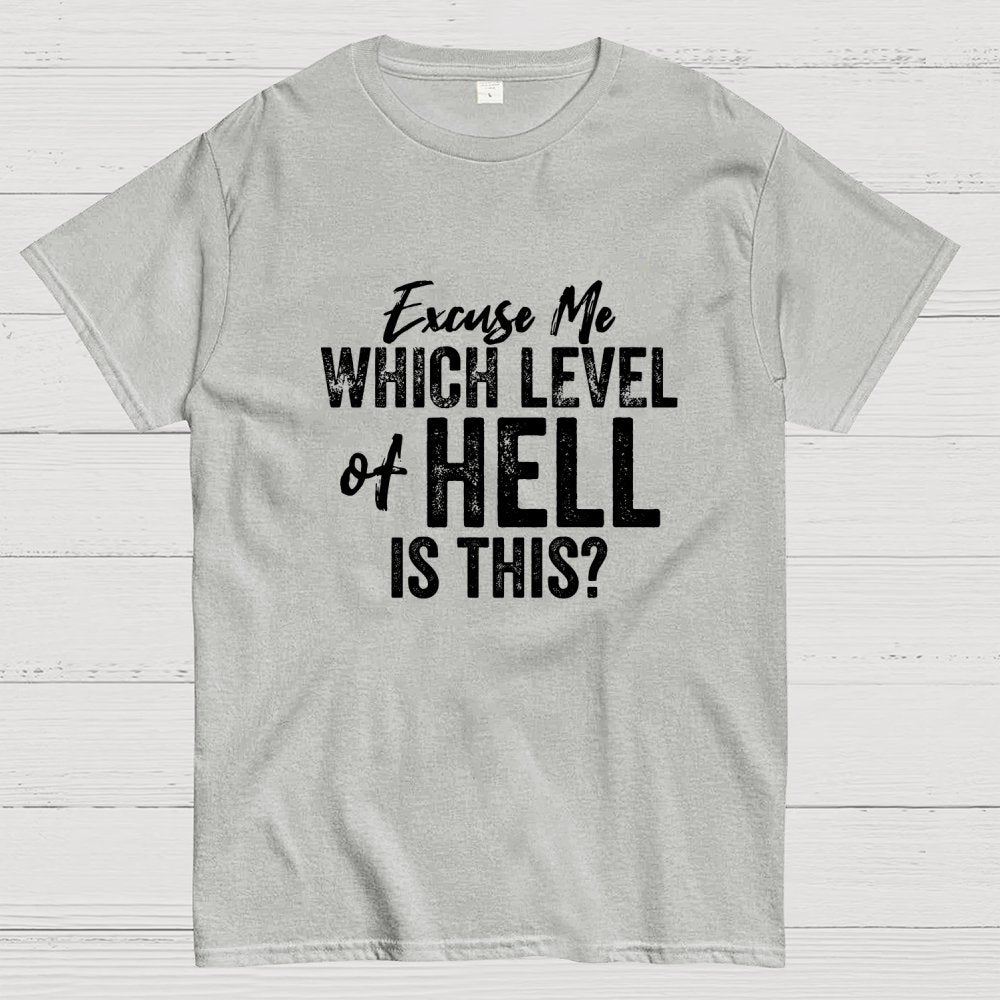 Excuse Me Which Level of Hell is This？Geek T-Shirt