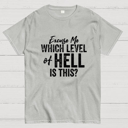 Excuse Me Which Level of Hell is This？Geek T-Shirt