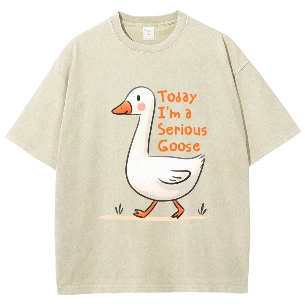 Today I’m A Serious Goose Vintage Distressed T-shirt