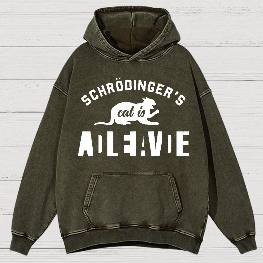 Schrodinger's Cat Vintage Distressed Hoodie