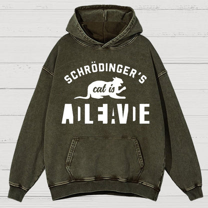 Schrodinger's Cat Vintage Distressed Hoodie