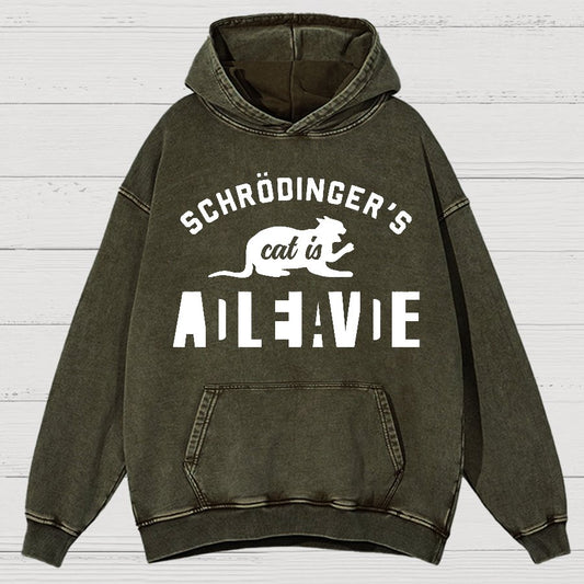 Schrodinger's Cat Vintage Distressed Hoodie