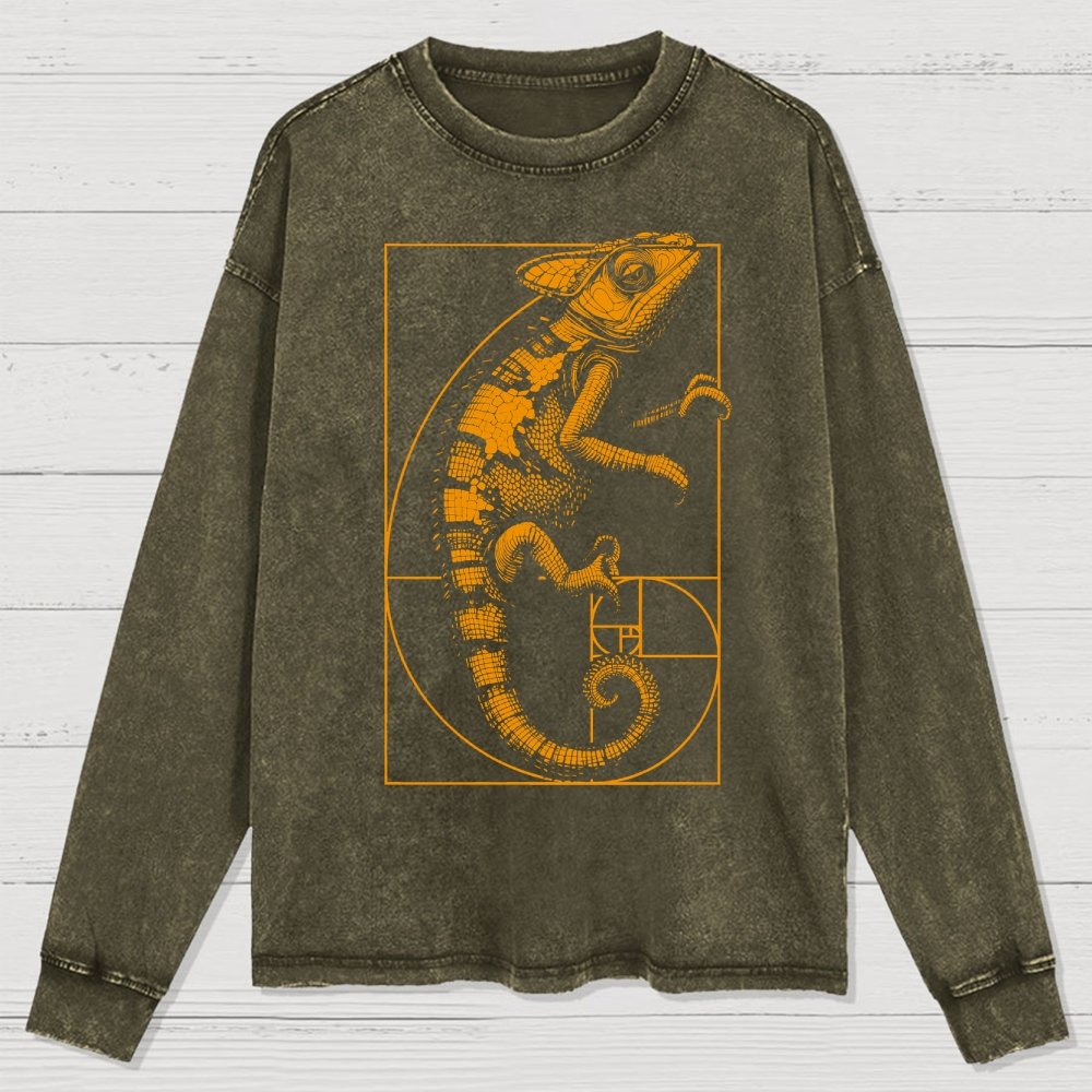 Chameleon Ratio Washed Long Sleeve Tee