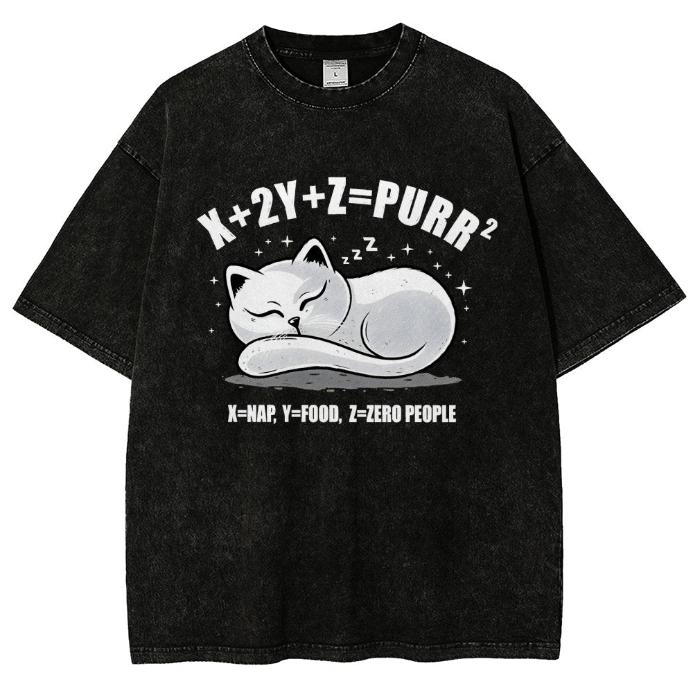 Purrfect Equation Vintage Distressed T-shirt