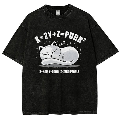 Purrfect Equation Vintage Distressed T-shirt