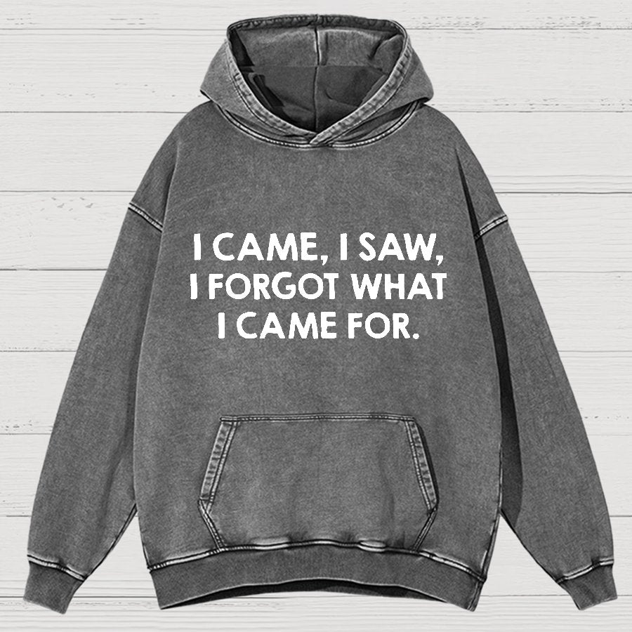 I Came and Saw Funny  Vintage Distressed Hoodie