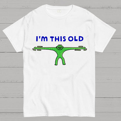 Old As Stretch Geek T-Shirt