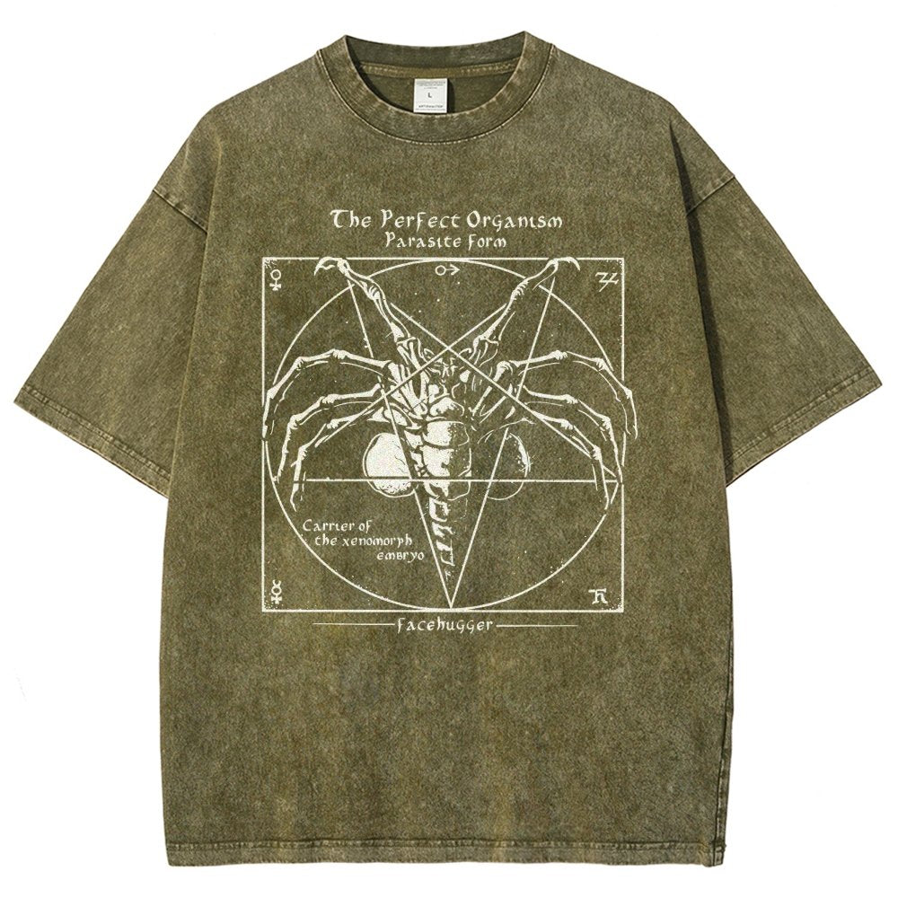 Mystery Pentagram Vintage Distressed T-shirt