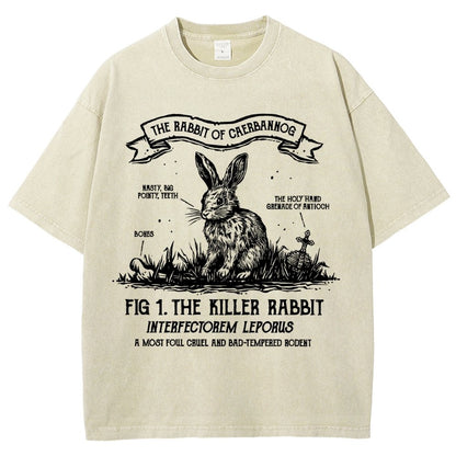 The Rabbit of Mysterious Place Vintage Distressed T-shirt