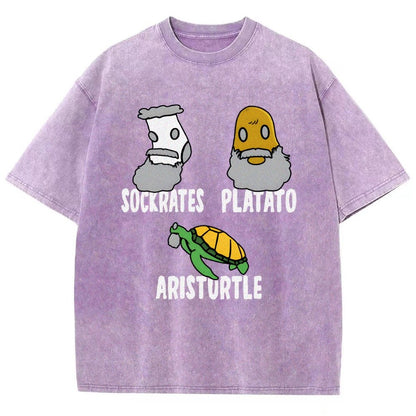 Sockrates Platato Aristurtle Vintage Distressed T-shirt