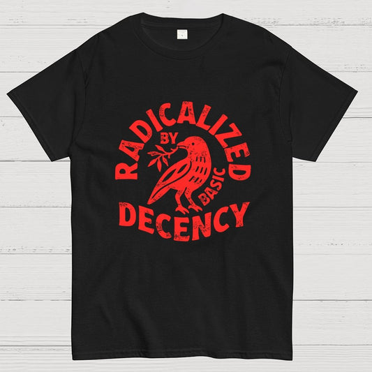 Radicalized By Basic Decency Geek T-Shirt