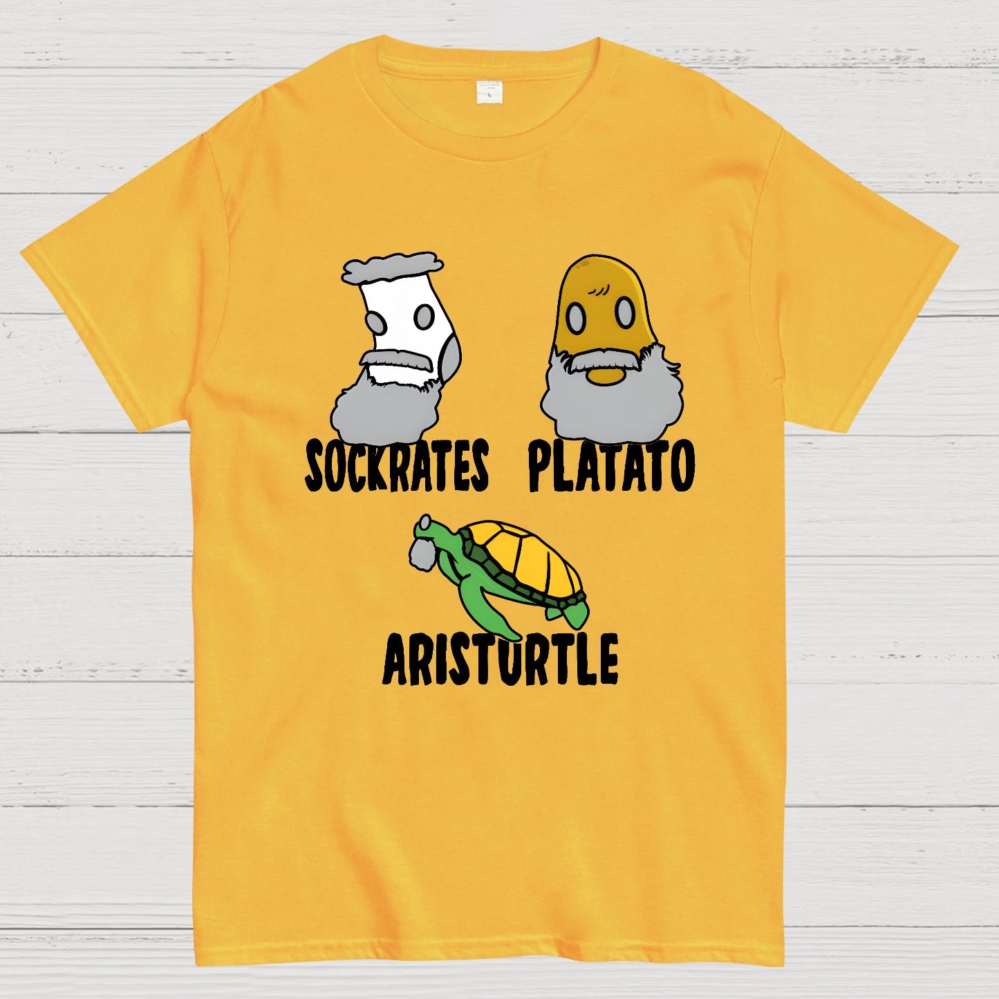 SOCKRATES PLATATO ARISTURTLE Geek T-Shirt