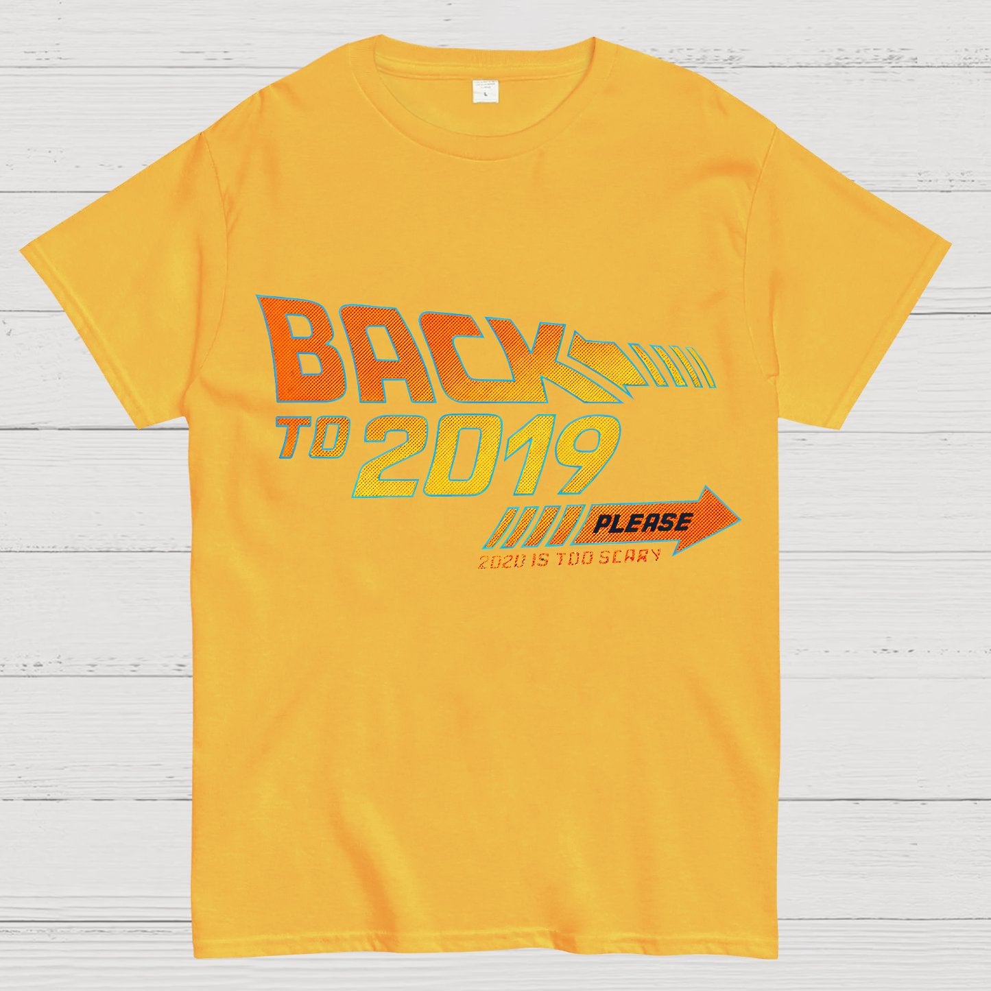 Back To 2019 Please T-Shirt