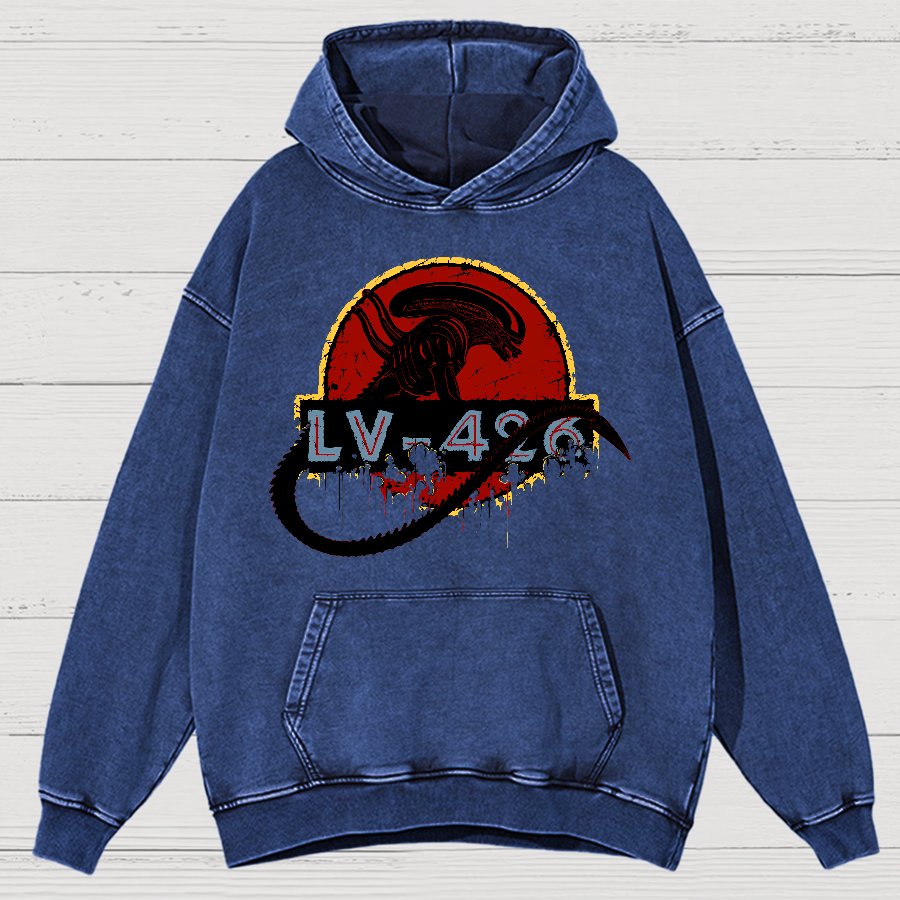 Unknown-426 Vintage Distressed Hoodie