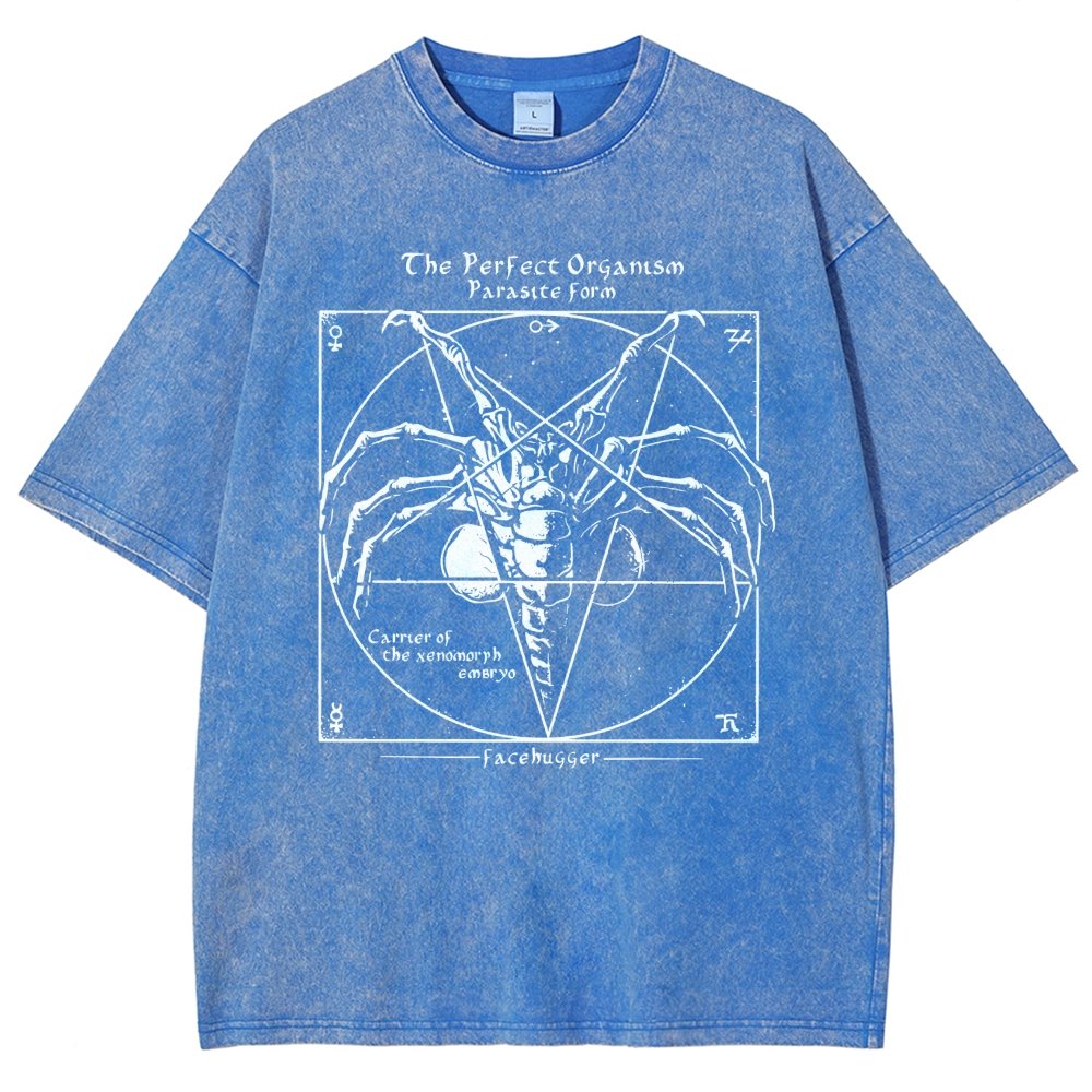 Mystery Pentagram Vintage Distressed T-shirt