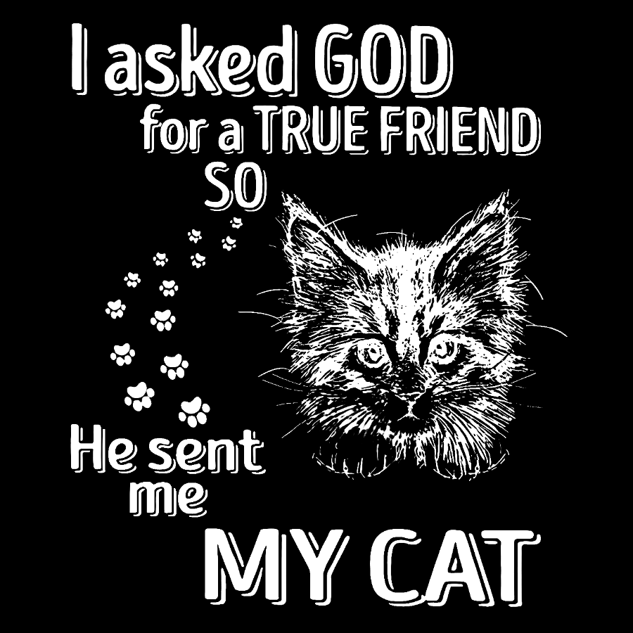 I Asked God For A True Friend So He Sent Me My Cat Geeky T-Shirt