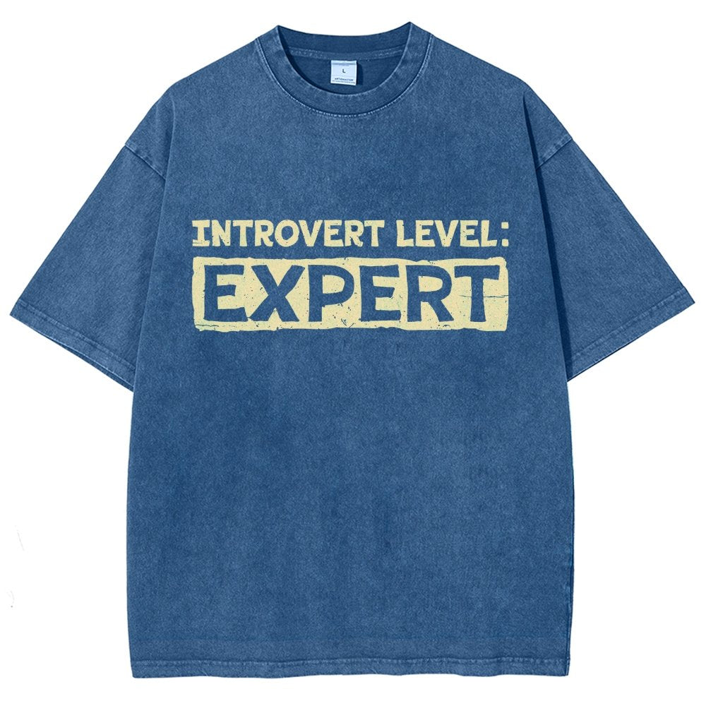 Introvert Level:Expert Vintage Distressed T-shirt