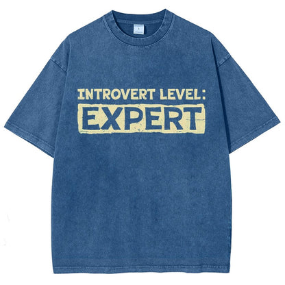 Introvert Level:Expert Vintage Distressed T-shirt