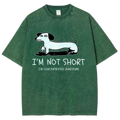 I'm Not Short Vintage Distressed T-shirt