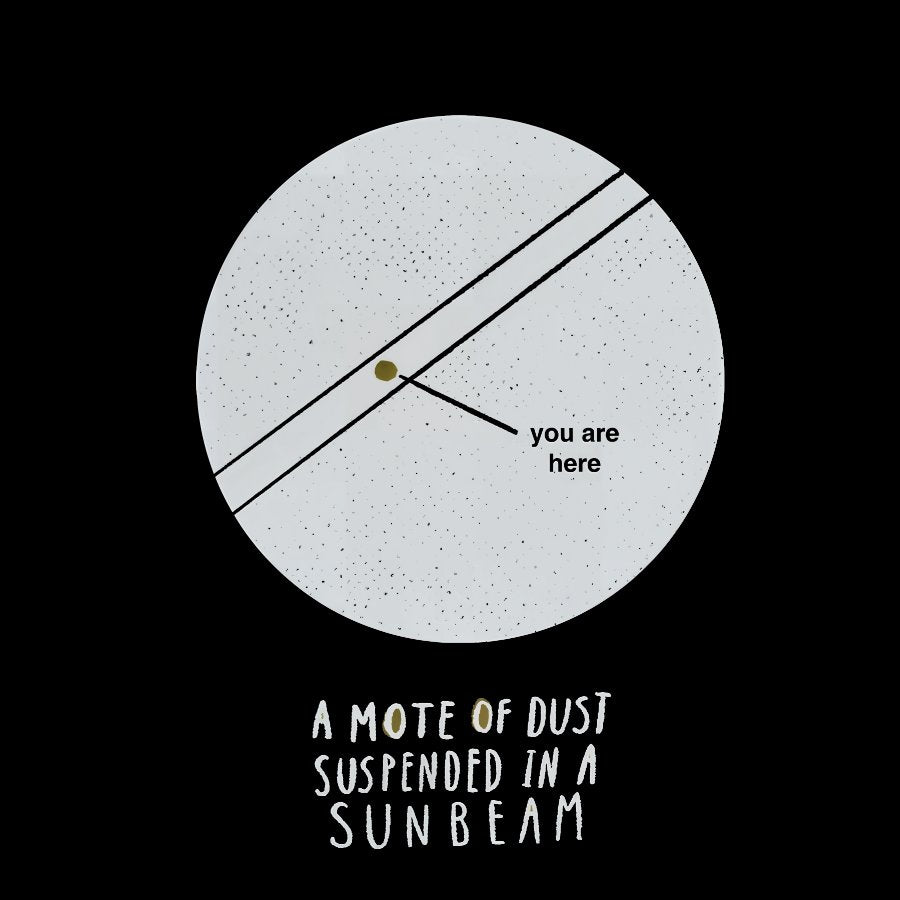 Pale Blue Dot  Mote of Dust  Space & Astronomy Geeky T-Shirt