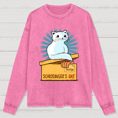 Schrodinger in a Box Washed Long Sleeve Tee
